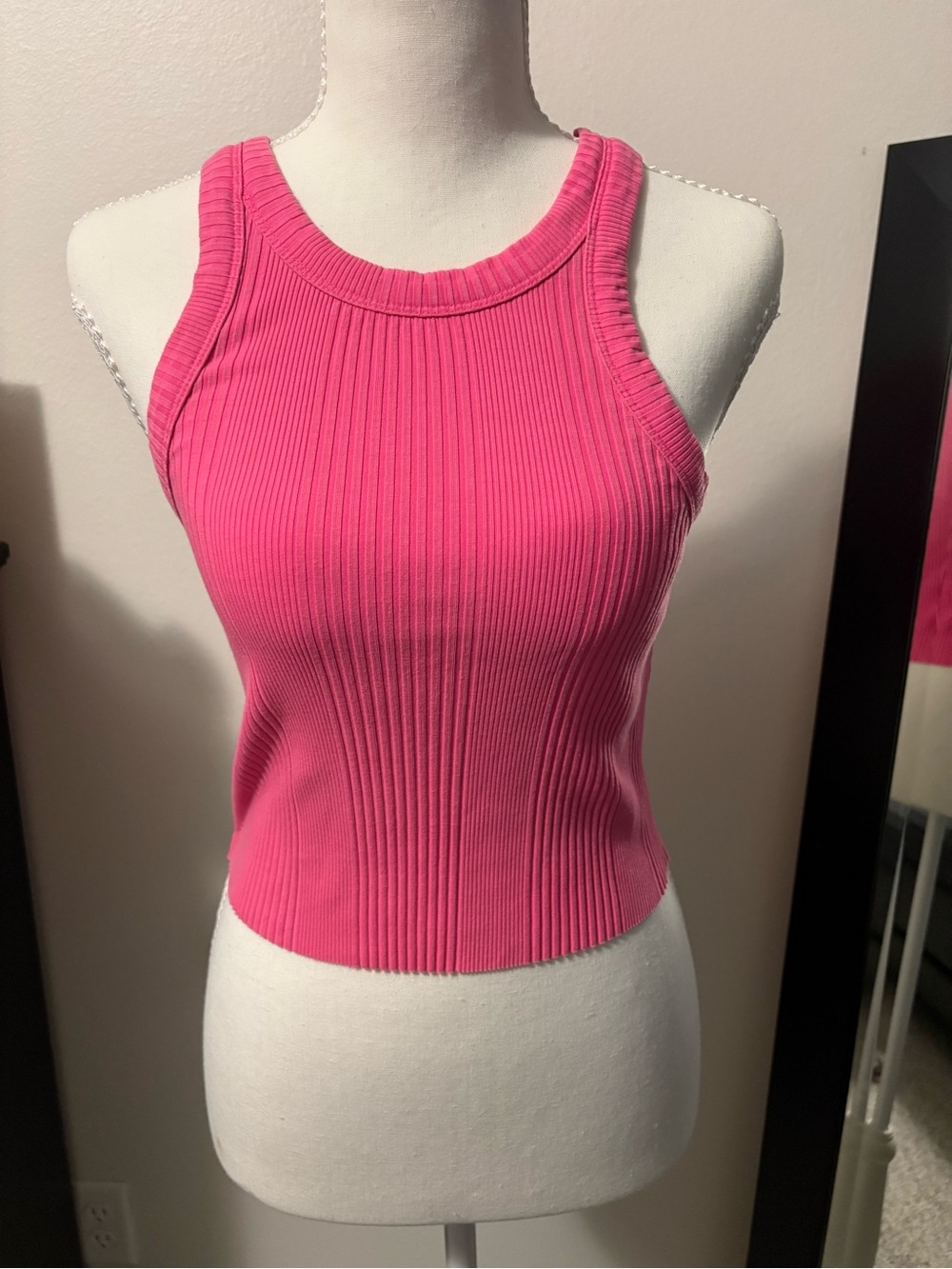 aerie Hot Pink Ribbed Crop Tank